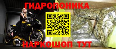 крисы Кандалакша