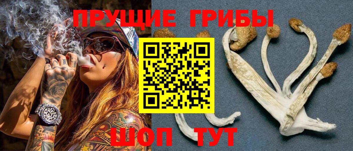 Псилоцибиновые грибы MAGIC MUSHROOMS  Вход с VPN  наркотики  Галлюциногенные грибы мухоморы  Кулебаки 